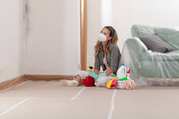 Reliable Mold Inspection contractor in Elmira, NY by WQB Mold Removal